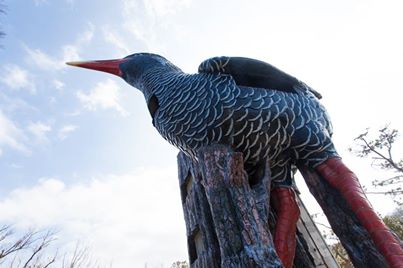ヤンバルクイナ